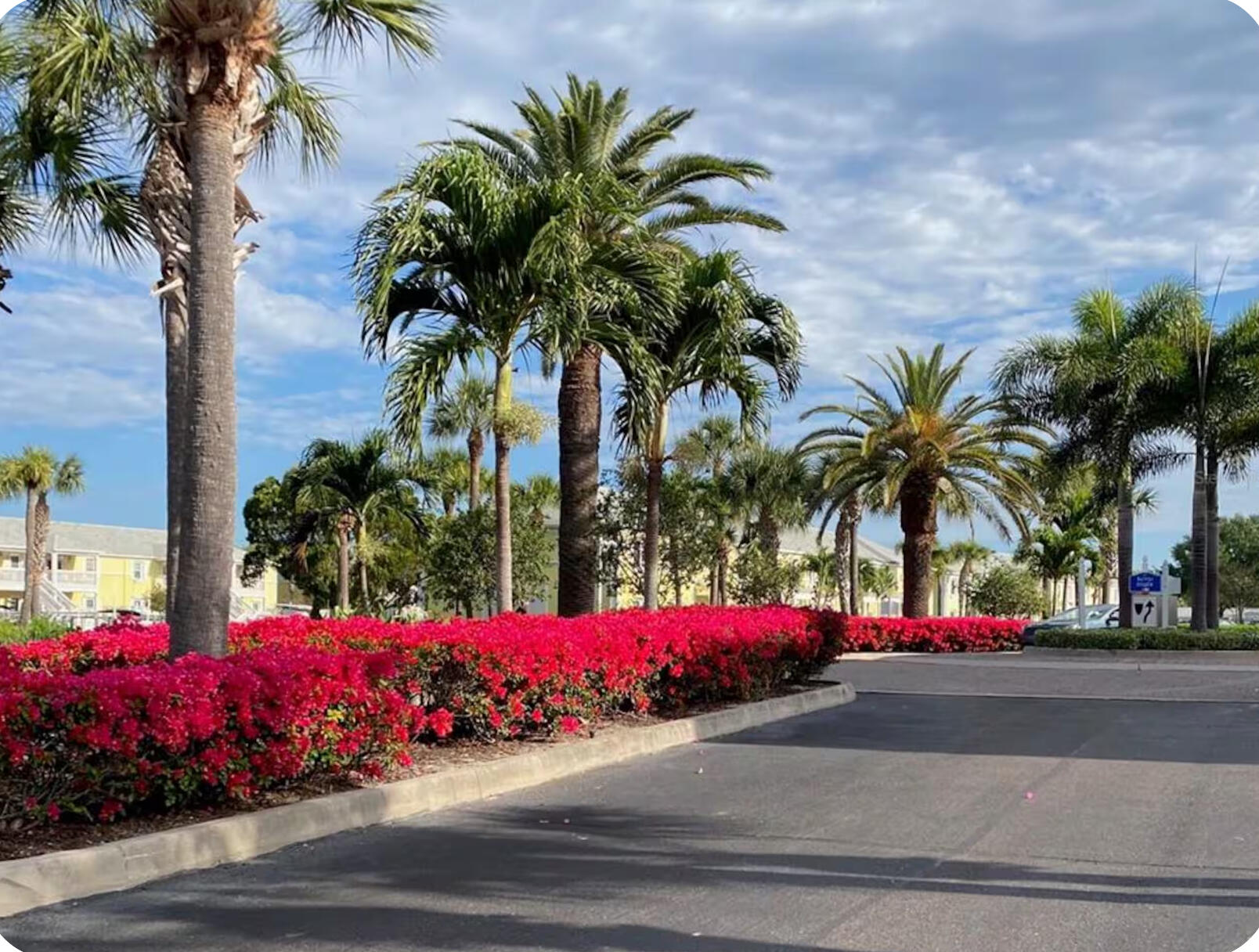 Beautiful Landscaping